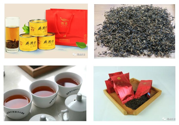 湖南省沅陵碣灘茶業有限公司,沅陵碣灘茶,茶葉加工銷售,茶文化傳播 湖南省沅陵碣灘茶業有限公司,沅陵碣灘茶,茶葉加工銷售,茶文化傳播
